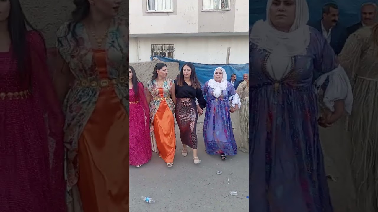15 Kasım 2025