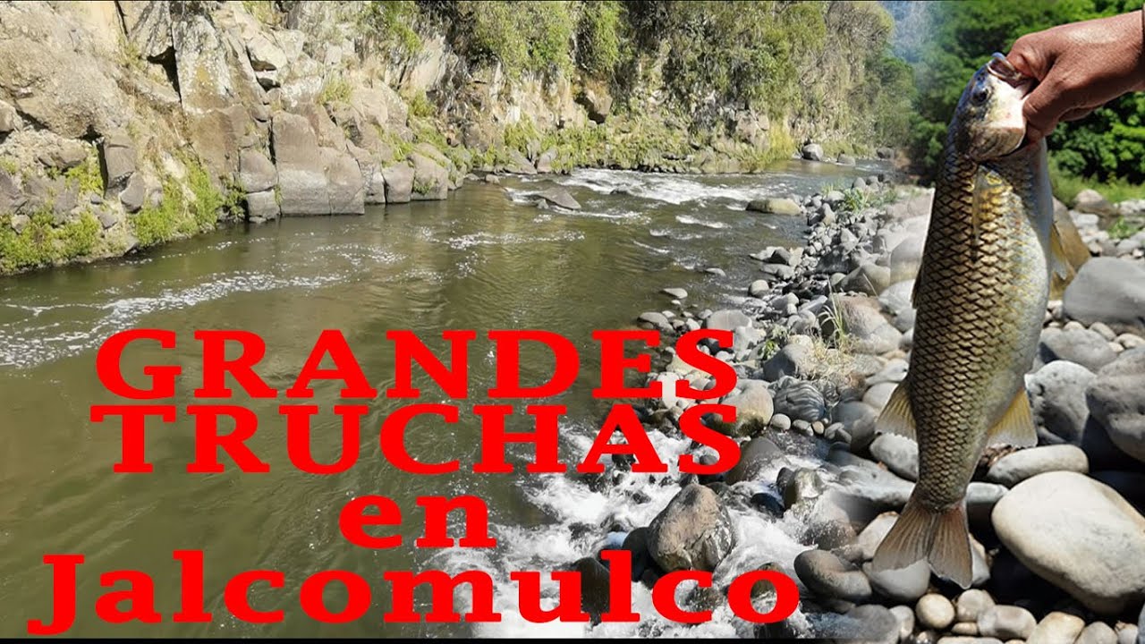 Pesca de grandes truchas en Jalcomulco, Ver