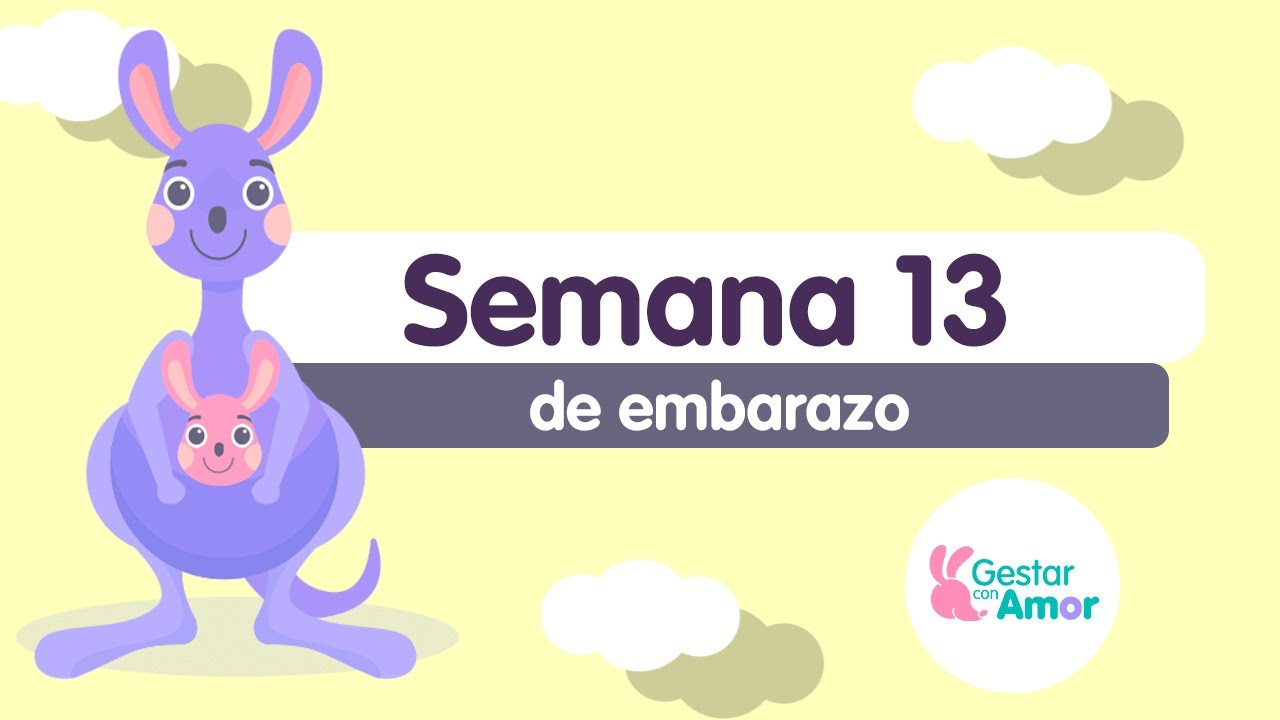 Semana 13 de embarazo: ¡Inicia el segundo trimestre!