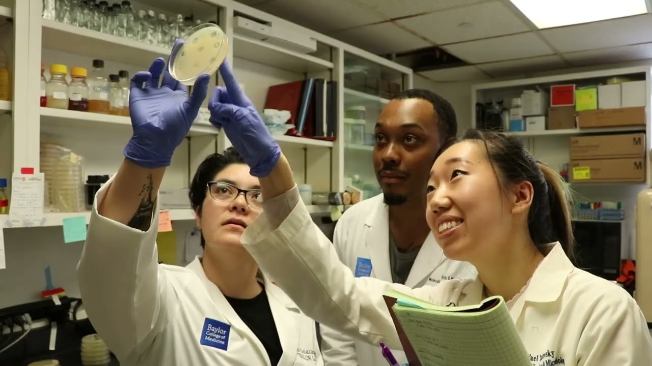 BACTERIA-EATING VIRUSES KILL HARD-TO-STOP INFECTIONS