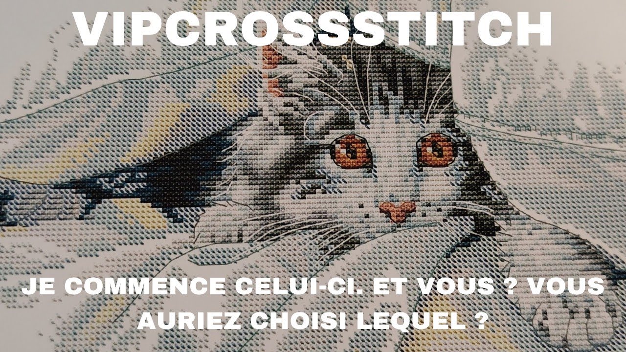 #vipcrossstitch #pointdecroix #broderie #crossstitch #joysunday#stampedcrossstitch #embroidery 