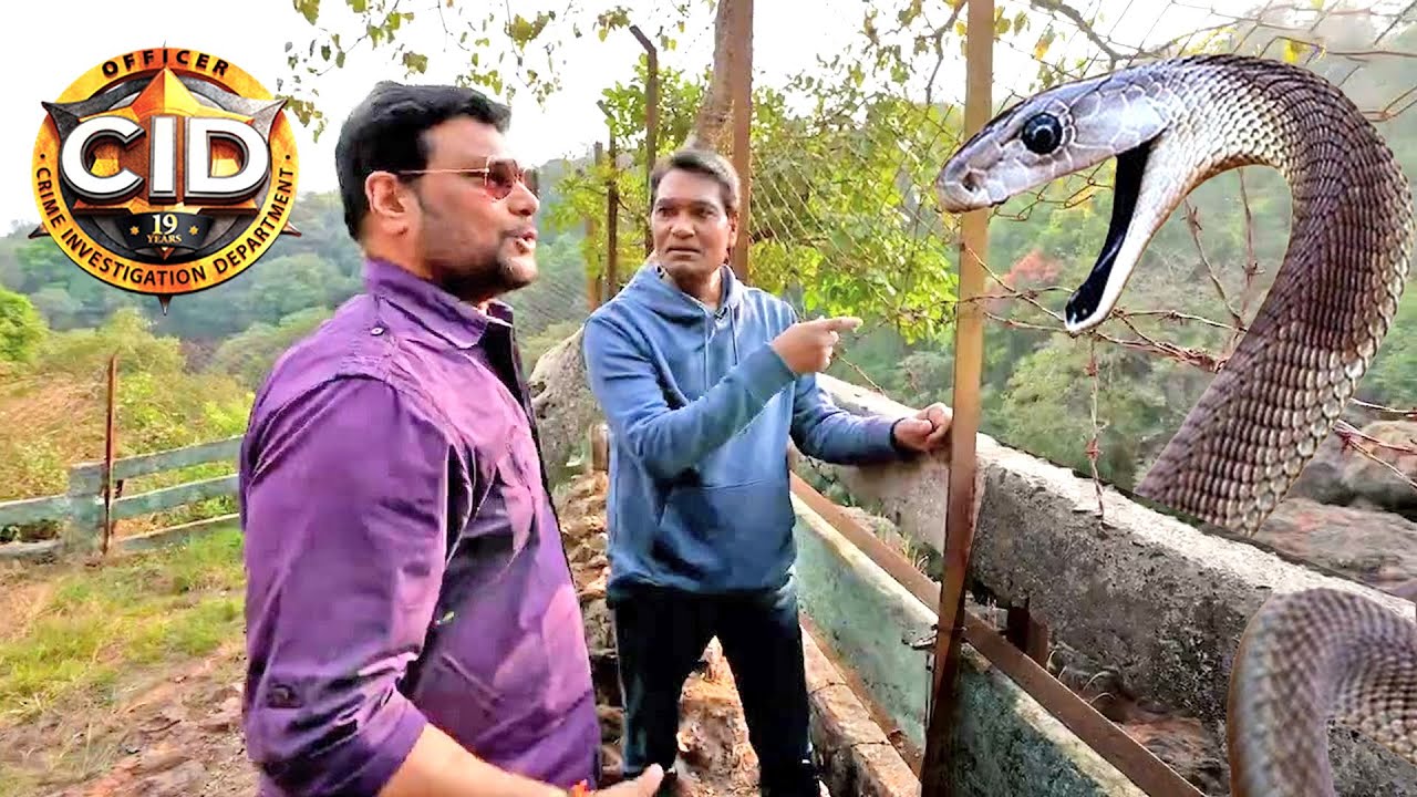 ঘাতক সাপ বনে দিয়ার উপর আক্রমণ করে || সিআইডি CID || bengali crime series- 2024