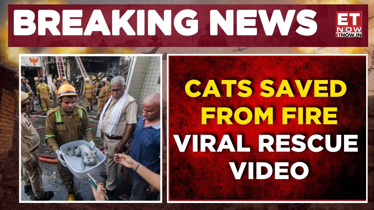 Lucknow Fire Heroics: Rescue Team Saves Cats From Burning Building | Visuals Out | ET Now