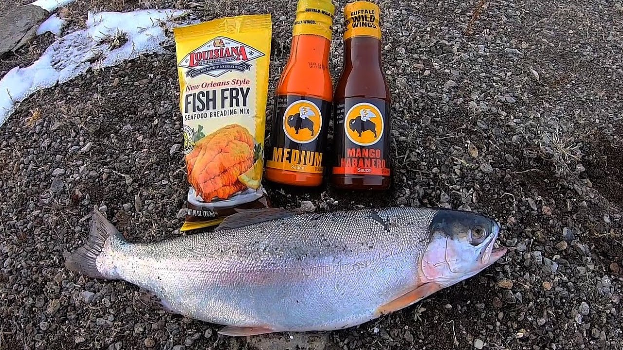 ICE FISHING for BIG TROUT!! + Campfire Catch & Cook