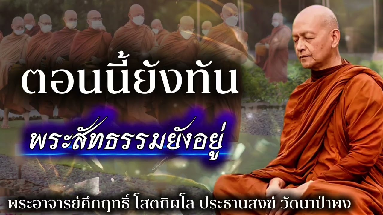 ตอนนี้ยังทัน พระสัทธรรมยังอยู่ #พุทธวจน 