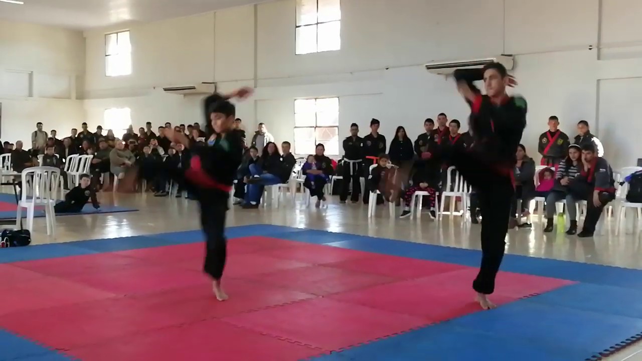Exhibición Sipalki-DO Ion Bi Ryu