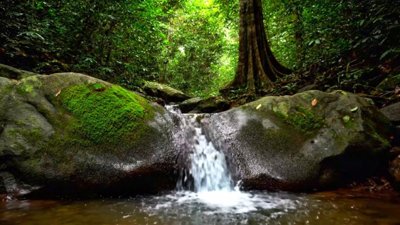 NATURAL RIVER SOUNDS ASMR | RELAXING WATER AMBIENCE FOR FOCUS, SLEEP, AND CALMING