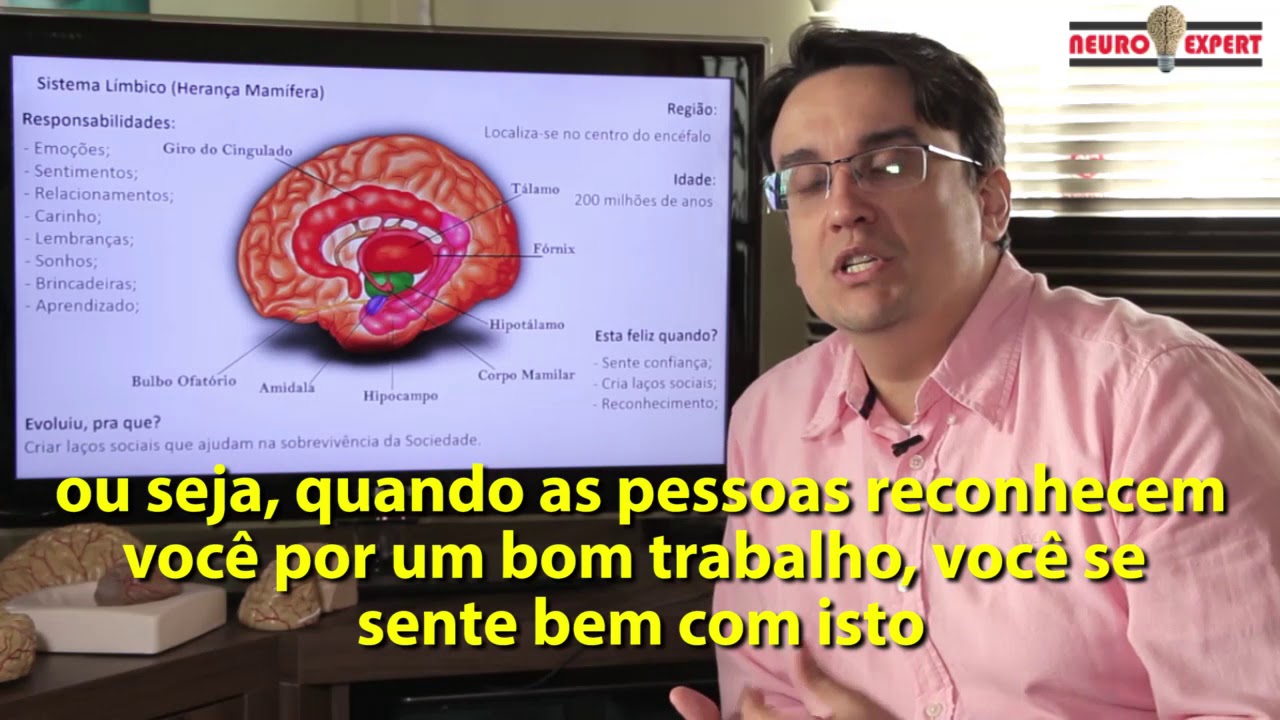 Neuro Dica - Sistema Límbico