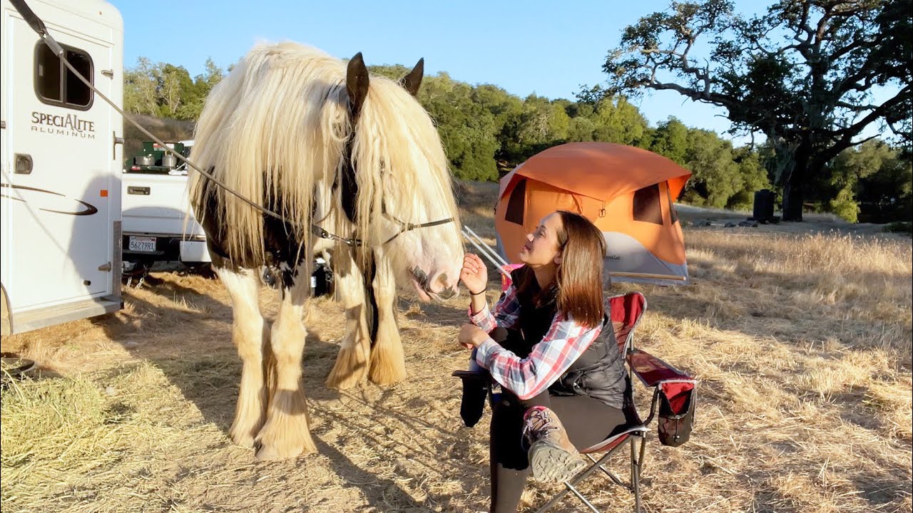 Are you ready to horse camp? Getting prepared!