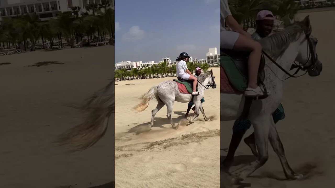 Beach horse riding Cape Verde Sal