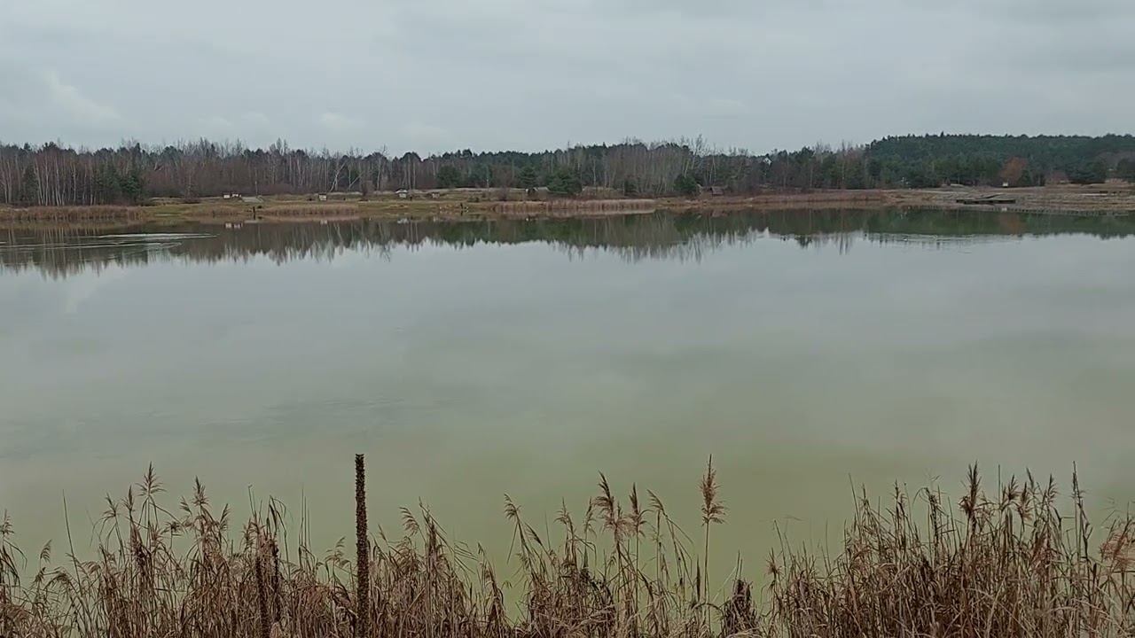 Lipowica z początkiem grudnia