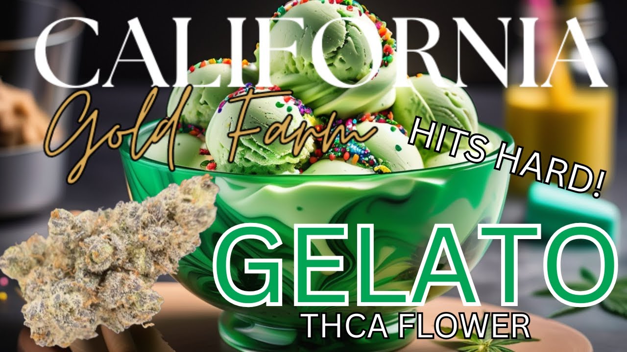 Trying California Gold Farm Gelato THCa Flower Review