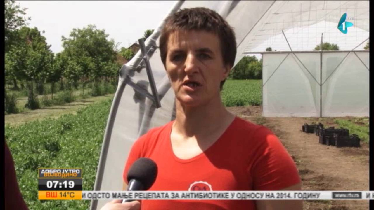 Misija udruženja “Živimo zajedno – oaza Golubinci”