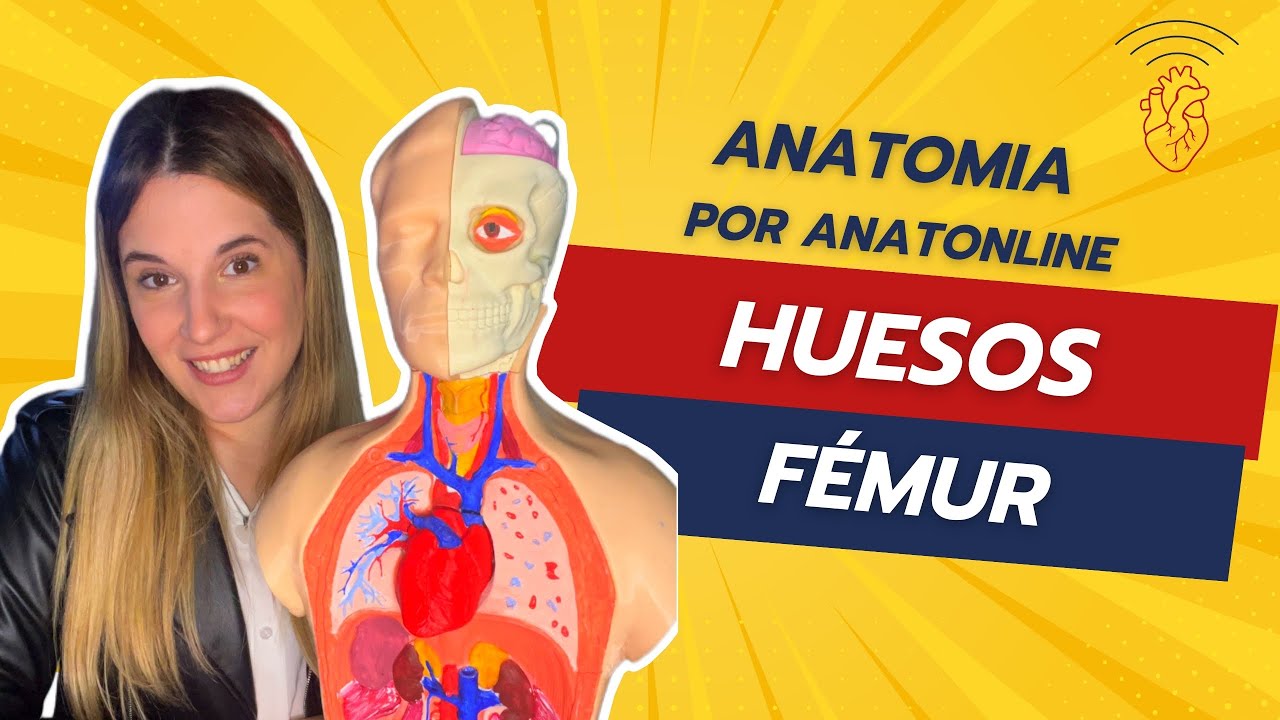 Curso completo de anatomia - Clase 8: Femur (Hueso del muslo)