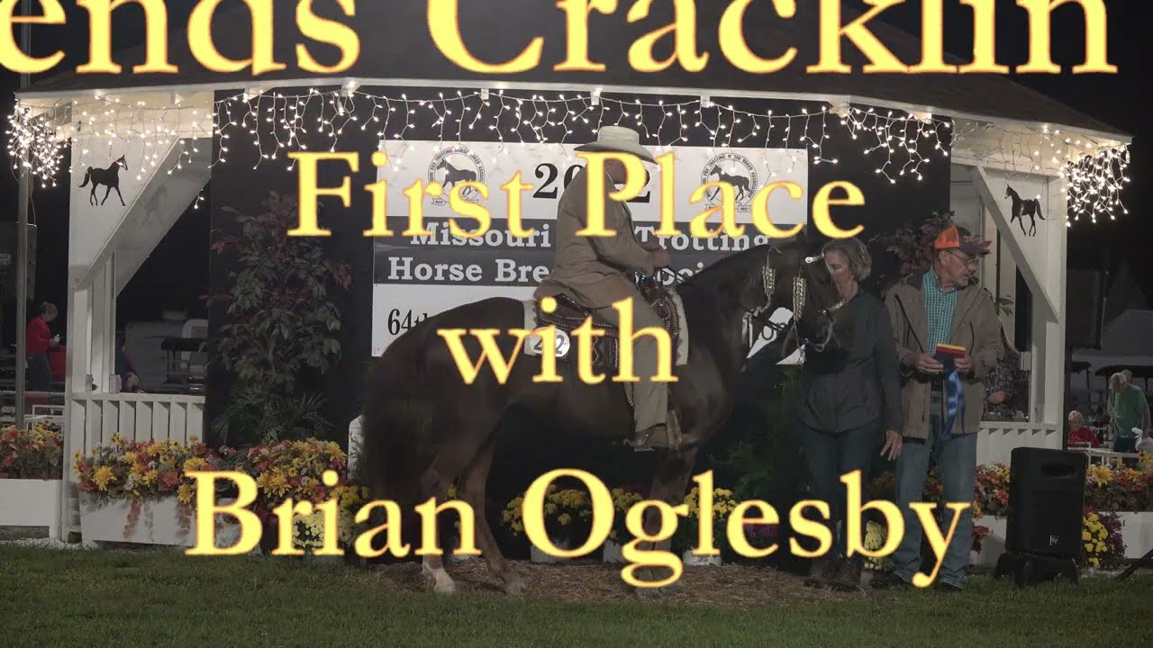 WC Open 5+  Mares 2022 Missouri Foxtrotter Celebration