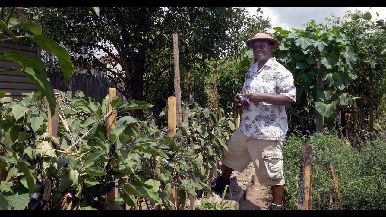 Cleo Hicks: Suburban Farmer