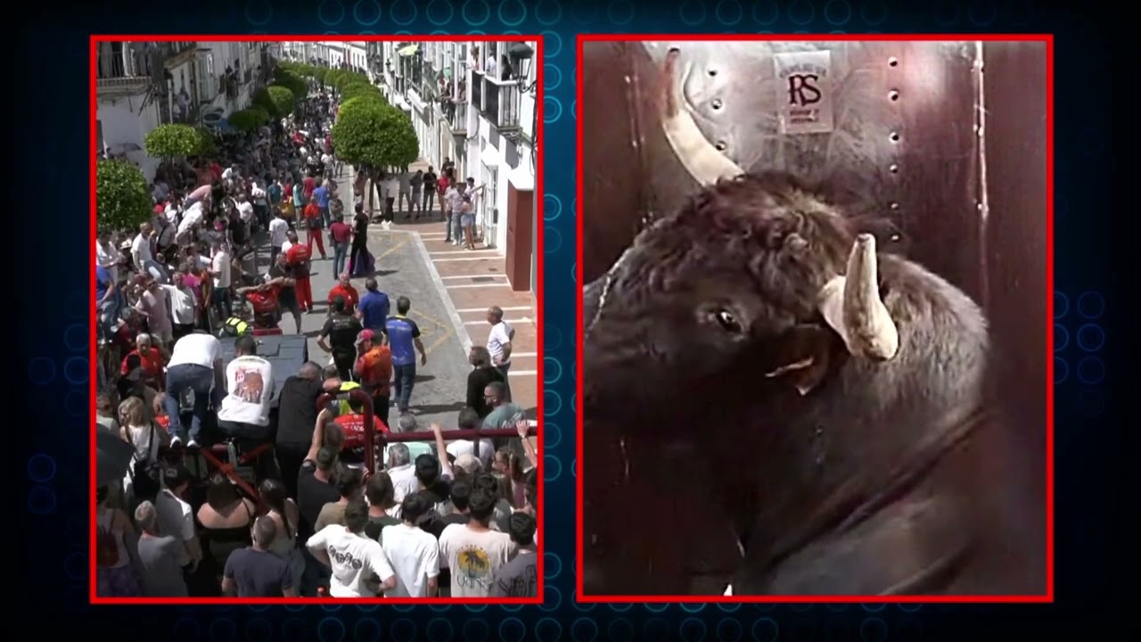TORO DEL ALELUYA ARCOS 2024 BLQ3