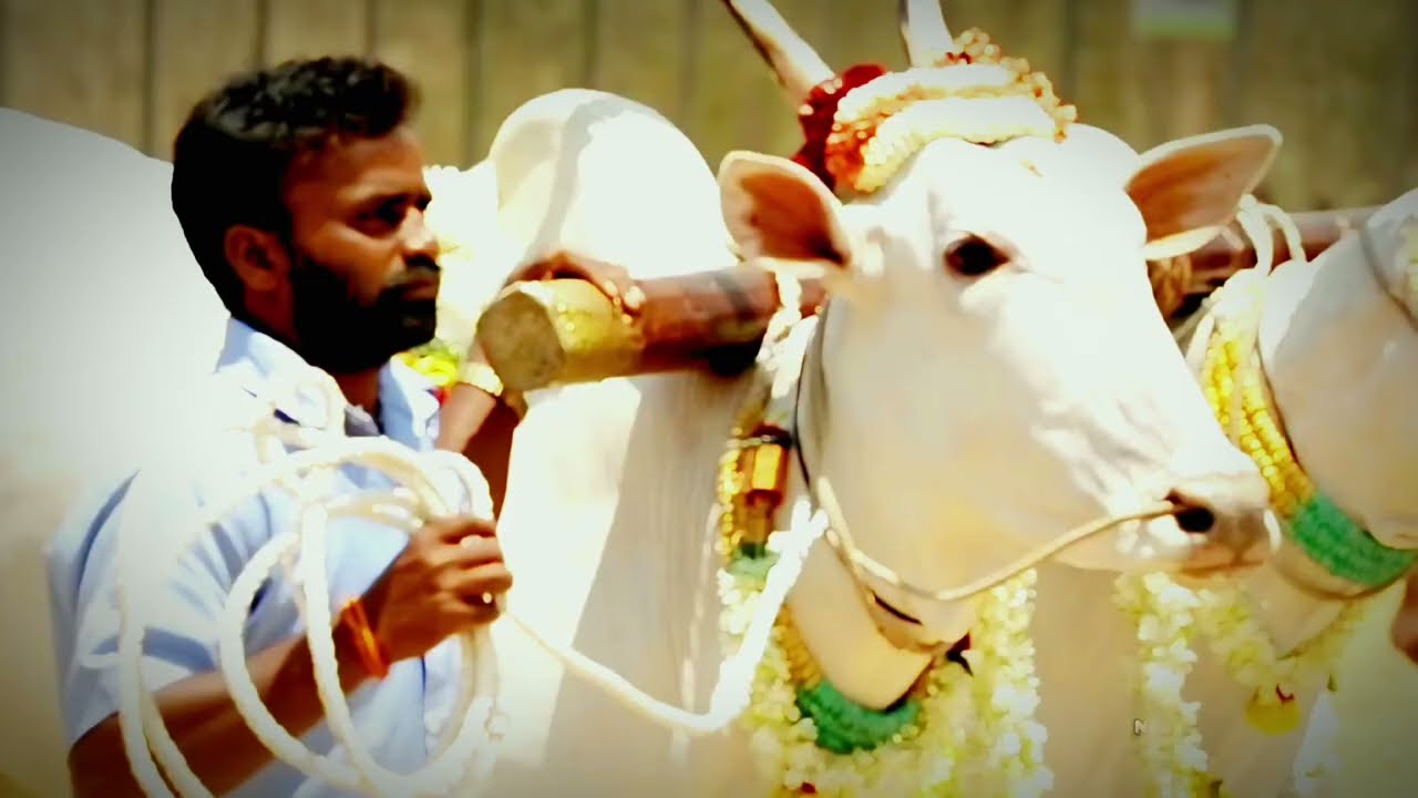 Huskur Jatre 2024 – Madduramma Devi Temple Festival Huskuru April 04 To 07 2024 #huskurjatre #jatre