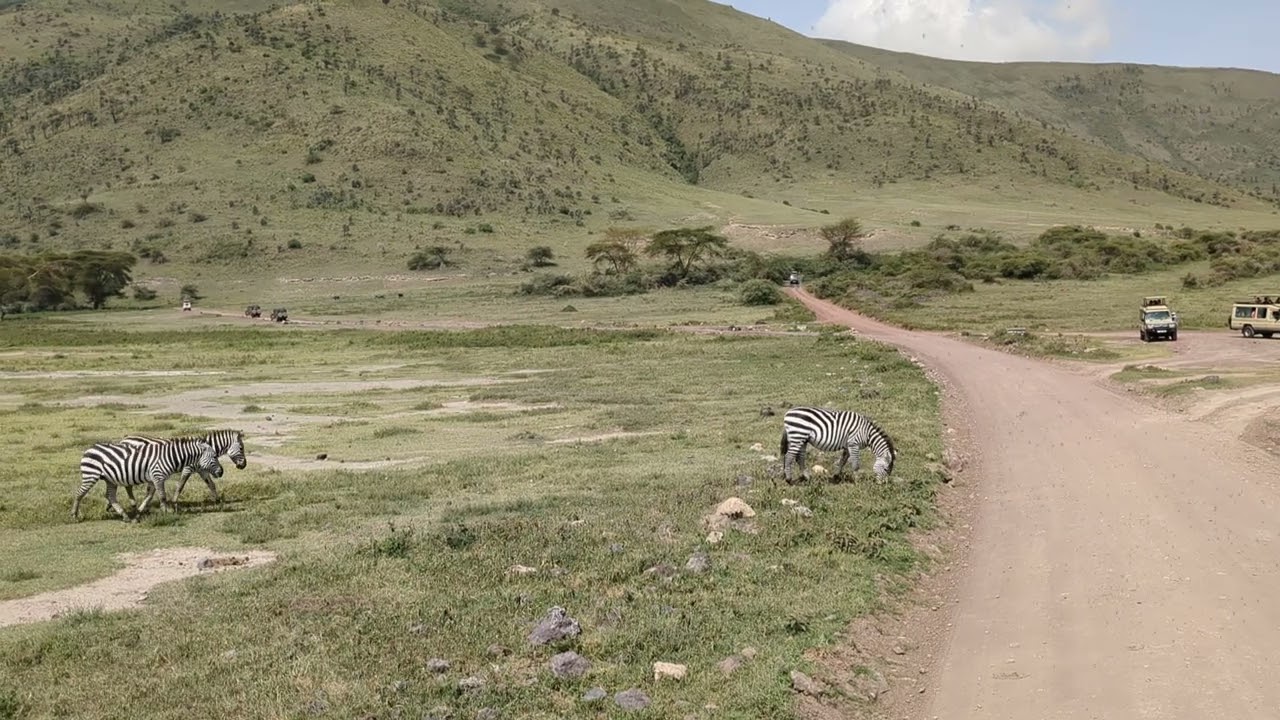 Ngorongoro Crater, Book your Dream Holiday with Sunlife Tours info@sunlifetours.com 👋💪👍