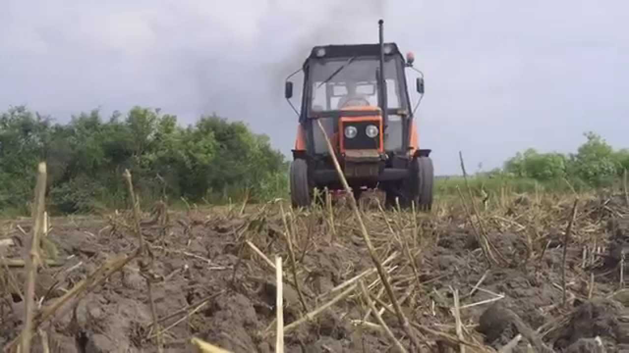 Zetor 7011 & gruber, czyli prace pożniwne 2015