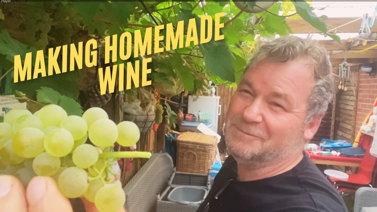 HOW TO MAKE WINE AT HOME | using fresh grapes | EASY RECIPE