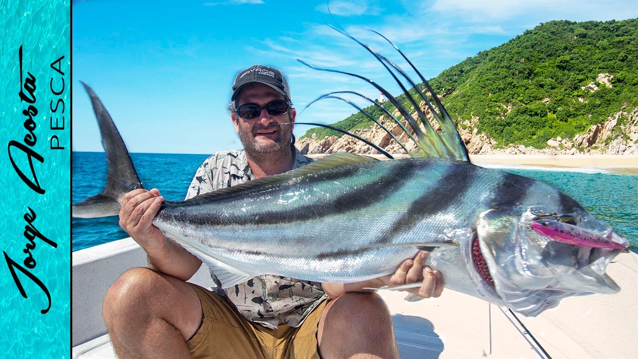 LA GALLIZA!!! ESPECTACULAR pesca de PEZ GALLO en PUERTO VALLARTA - con Snook Mafia