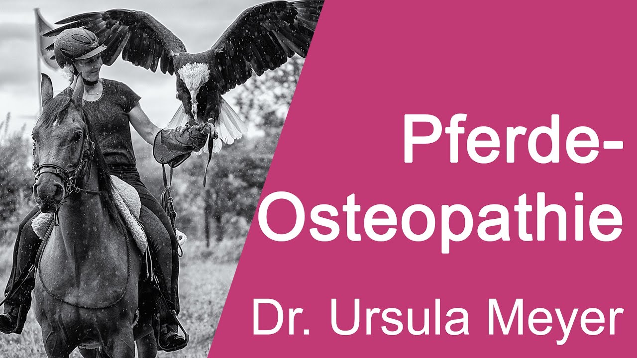 Dr. Ursula Meyer - Pferdeosteopathie - Teil 1 - CHS2020