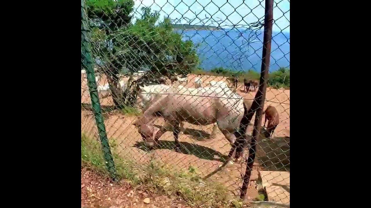 #bisiklet