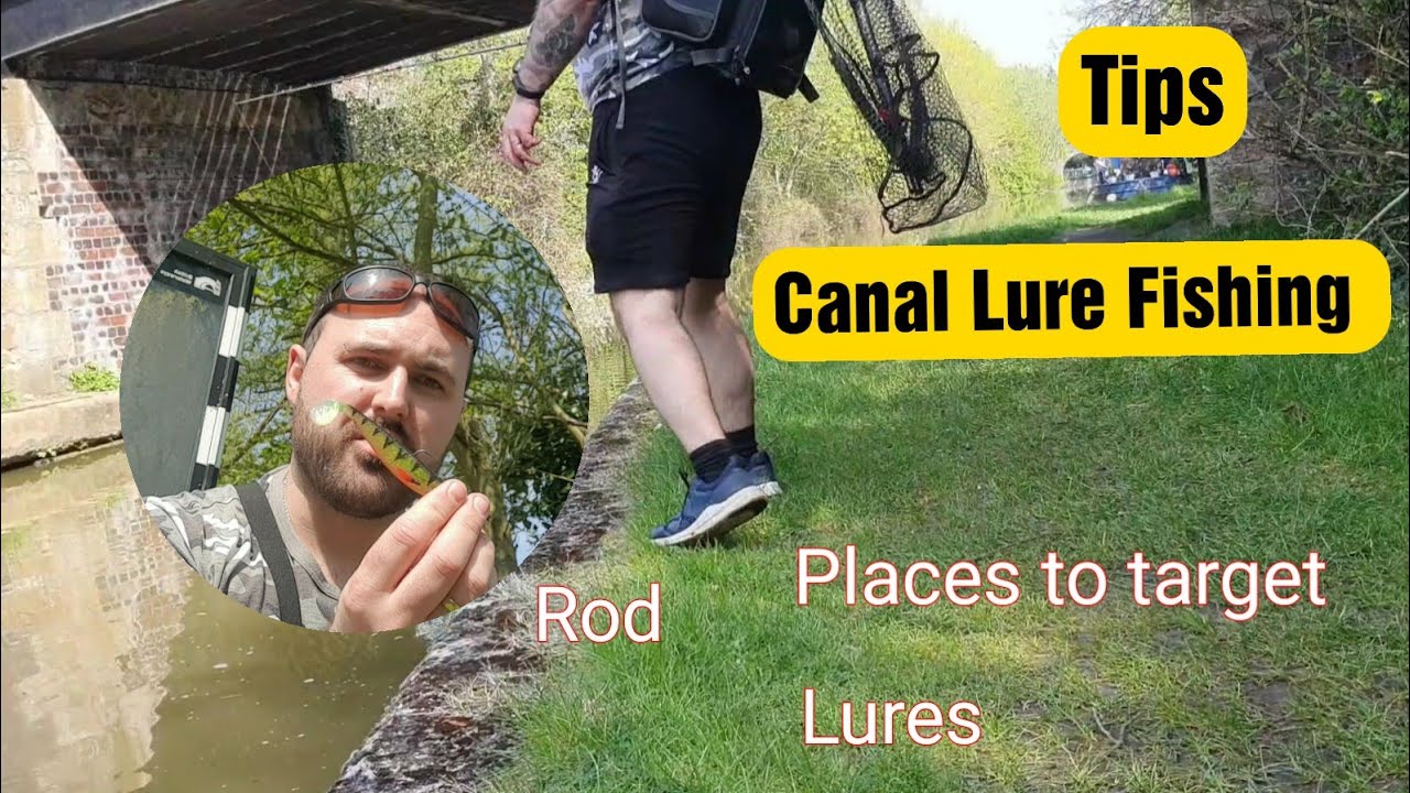 Tips to lure fish a canal