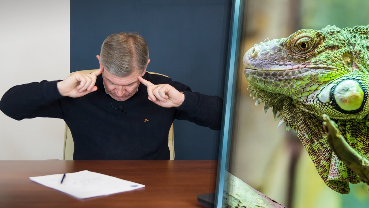 Pustka w głowie w stresujących sytuacjach? Winowajcą jest tu mózg gadzi | Krzysztof Sarnecki