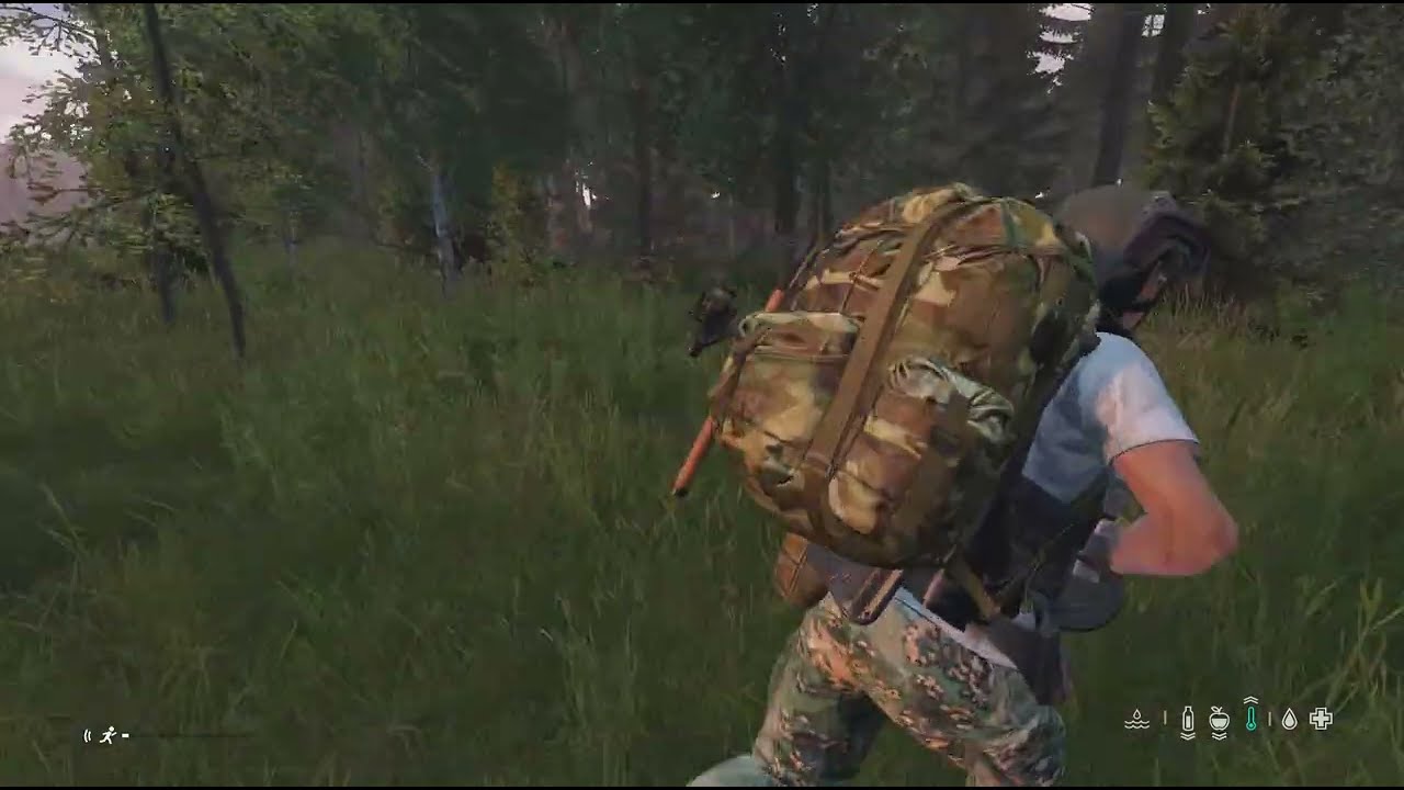 DayZ_ volando como goku