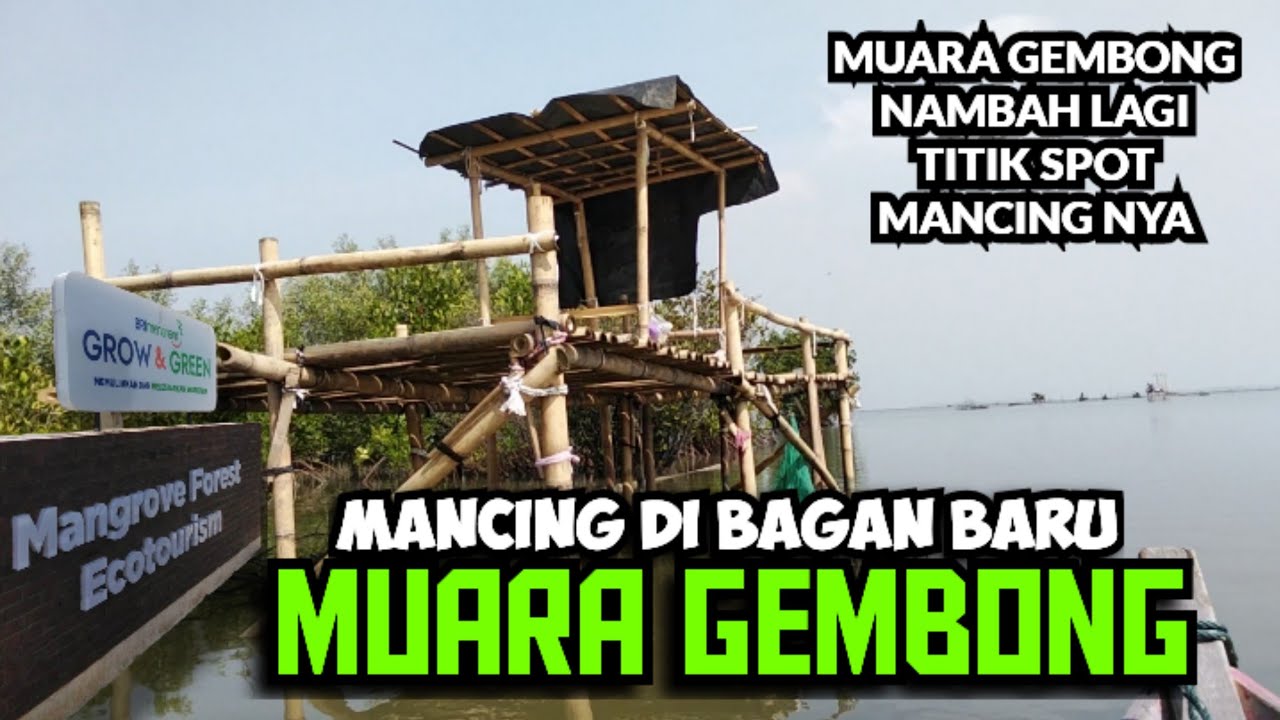 Spot mancing di bagan terbaru di muara gembong