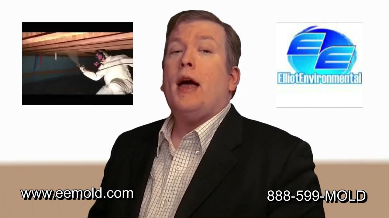 Michigan Mold Removal Specialist