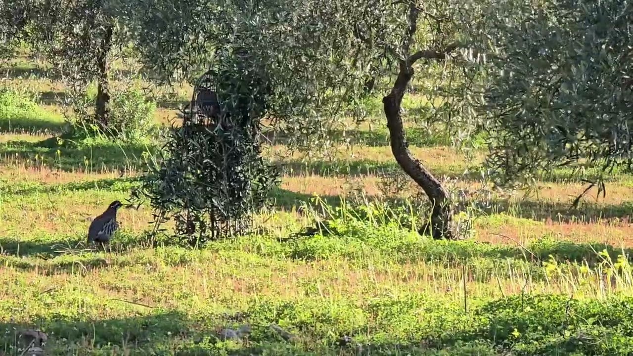 tarde para olvidar