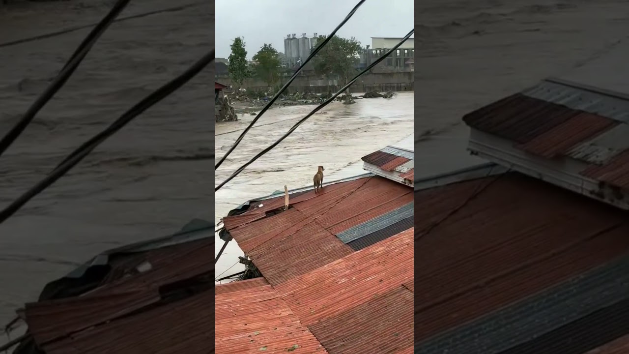 Flash Floods Caught on Camera | Real Footage #viral #trending #floods #flood #Disaster #viral