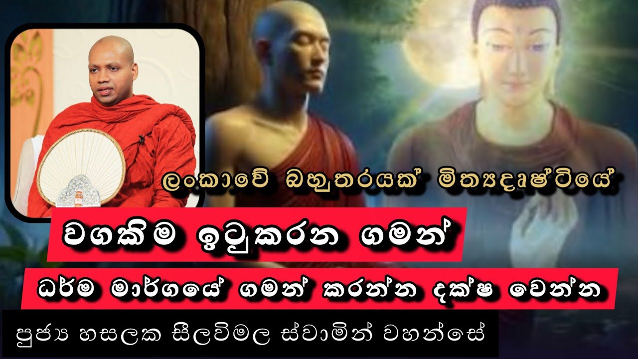වර්තමාන භවය තුළ සම්මා දිට්ඨිය ගොඩ නගන්නේ කෙසේද..?|#865බණවර |#revhasalakaseelawimalathero |2026.01.30
