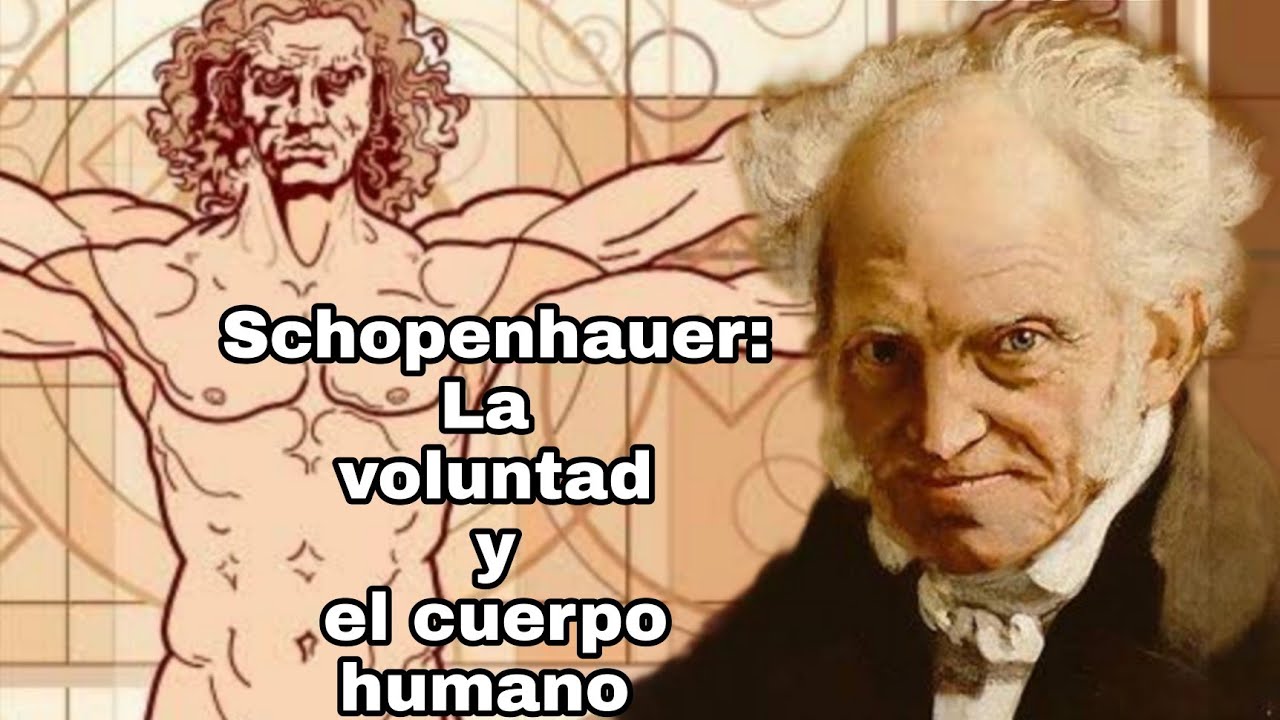 Schopenhauer: La identidad cuerpo-voluntad - Sesi&oacute;n 6. Curso sobre la filosof&iacute;a de Schopenhauer