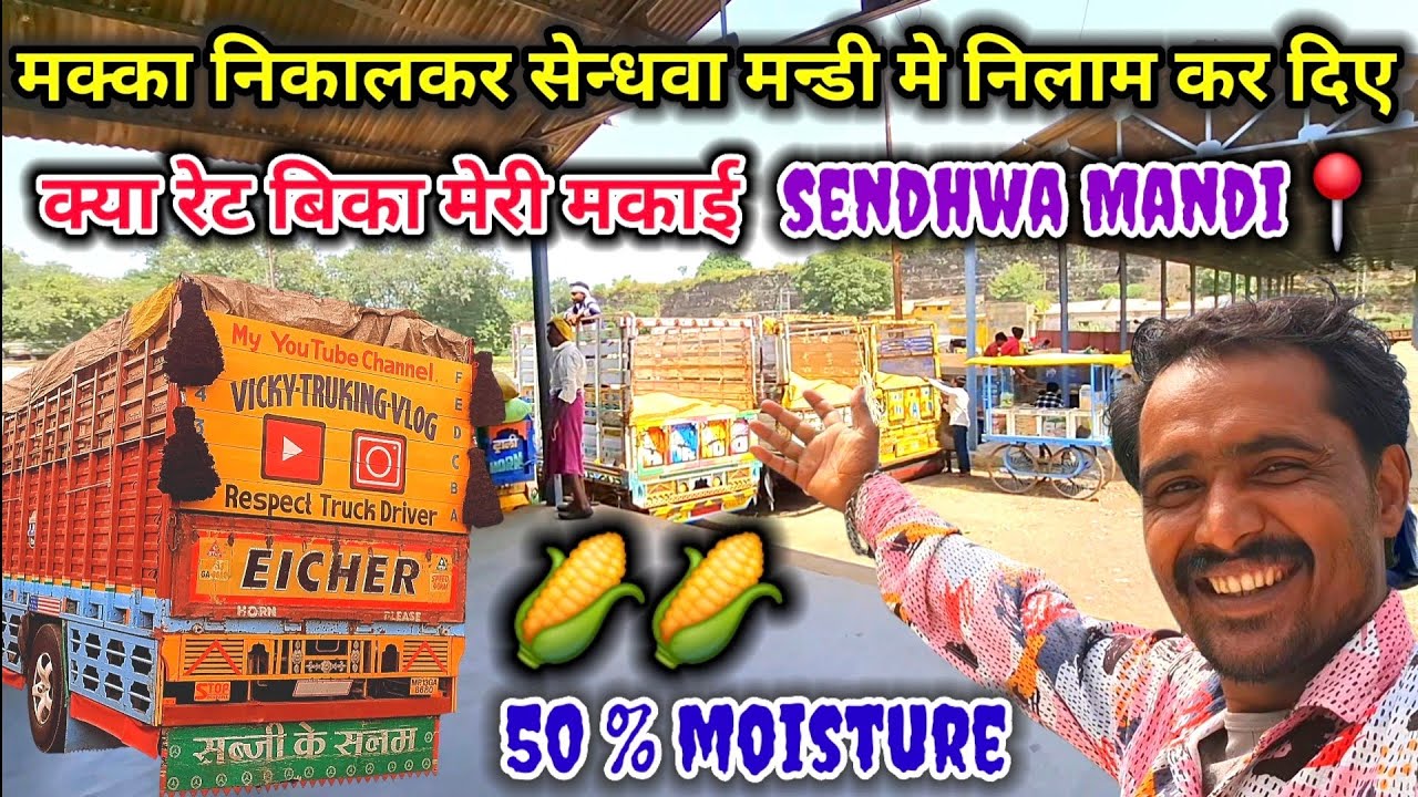 मक्का🌽क्या रेट भाव💰बिका || तुरंत मेरा मक्का निकालकर मण्डी मे बेच दिया || #sendhwamandi 