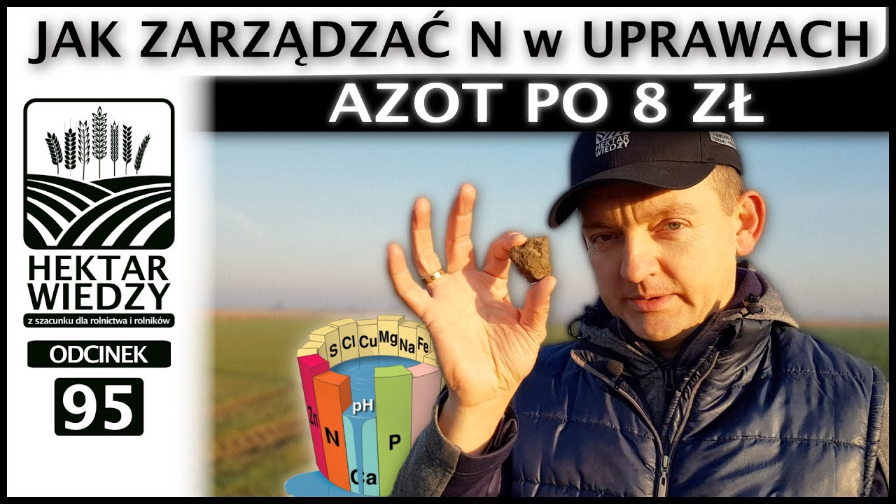 AZOT PO 8 zł, CZYLI JAK ZARZĄDZAĆ N w UPRAWACH. | ODCINEK #95