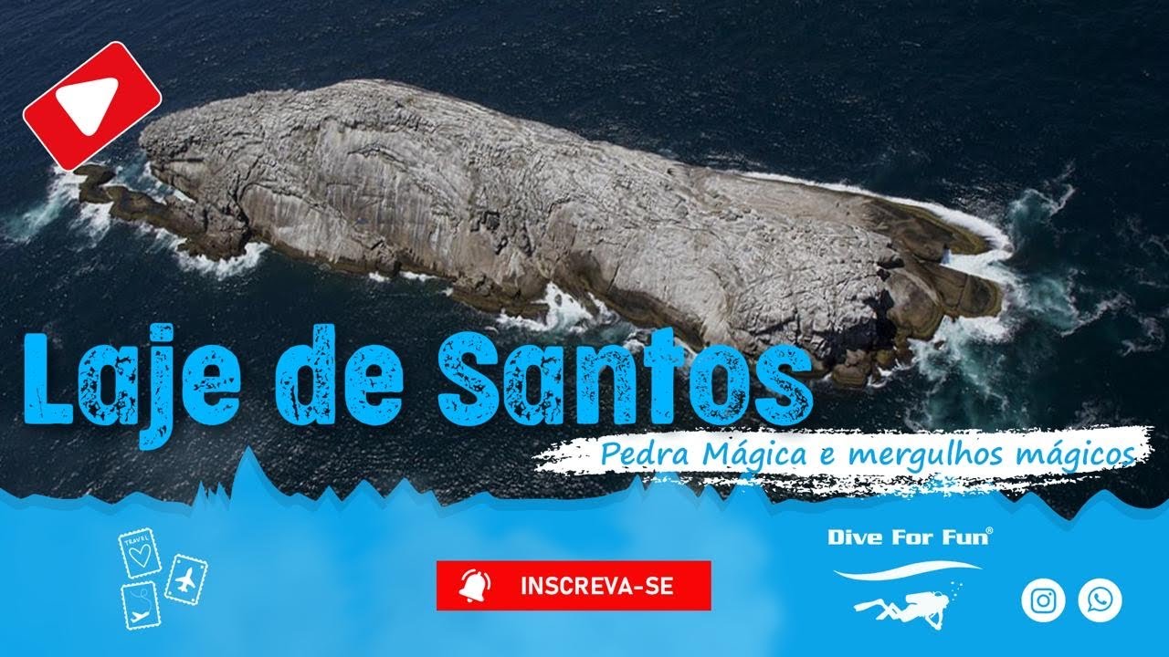 Laje de Santos e Calhaus - JANEIRO 2026 @Diveforfun 