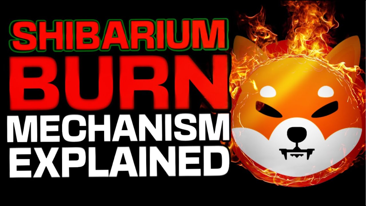SHIBARIUM BURN MECHANISM EXPLAINED!!!