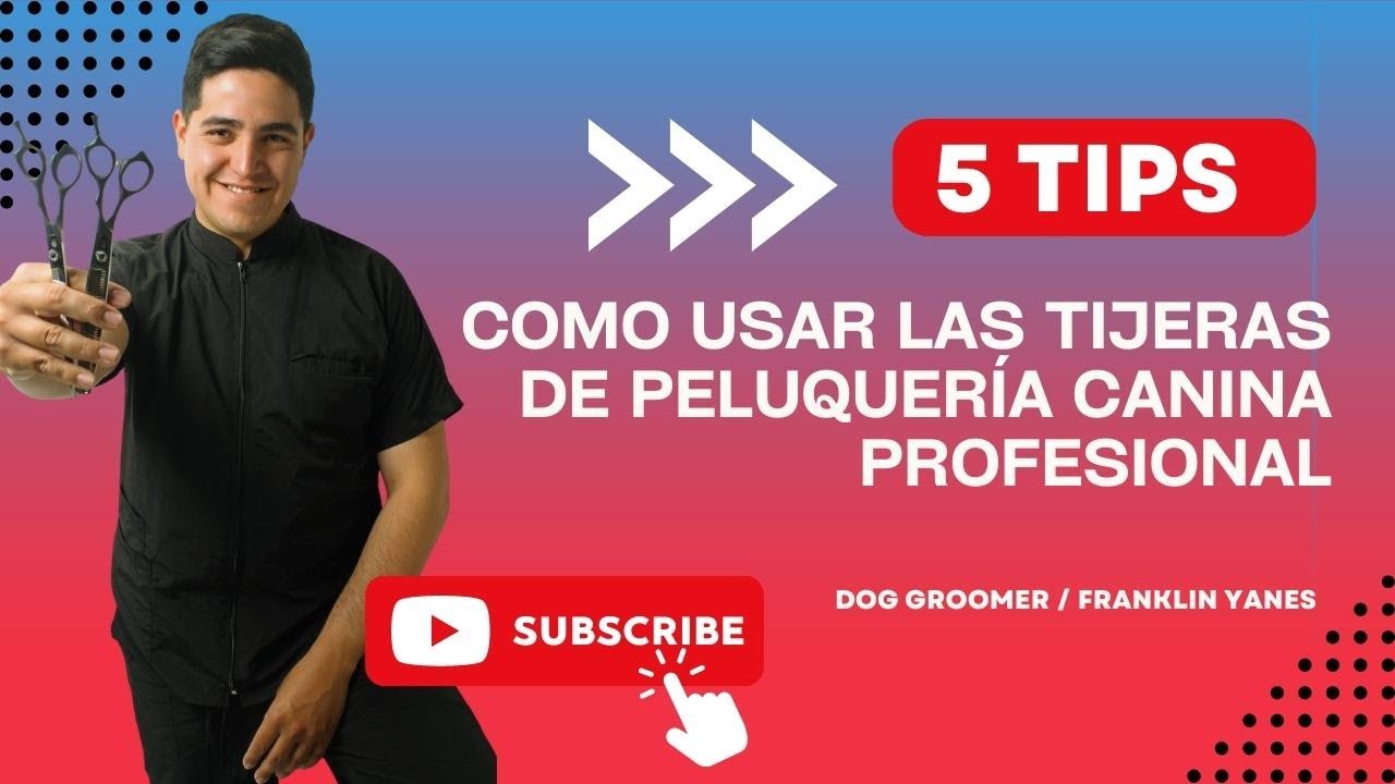 CURSO DE PELUQUERÍA CANINA / CLASE DE TIJERAS.