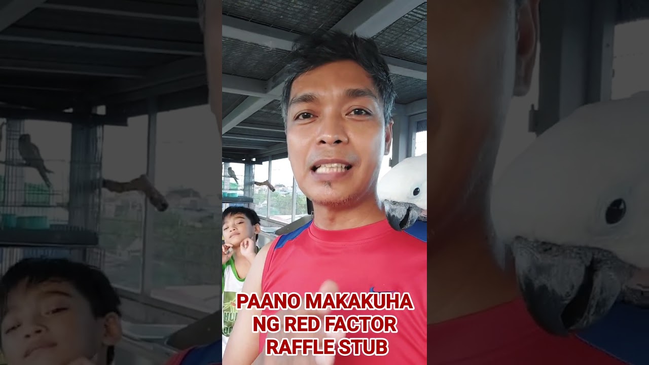RED FACTOR RAFFLE STUB