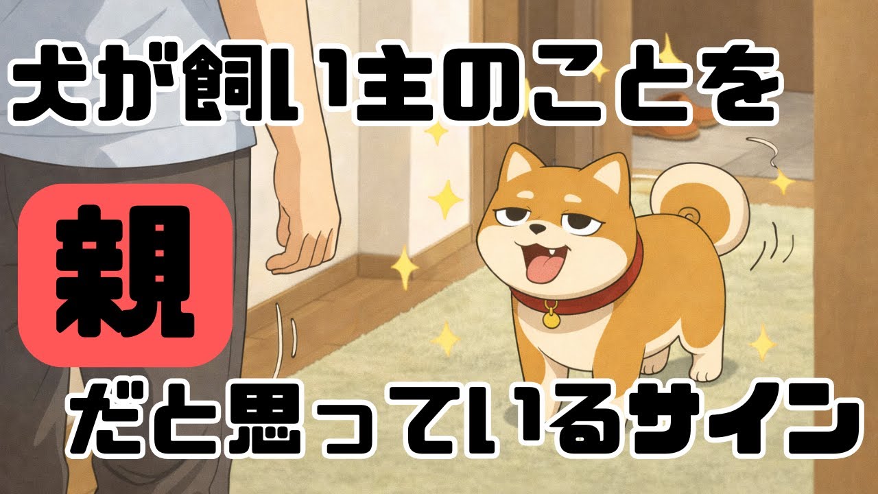 飼い主のことを親だと思っているサイン【犬雑学】