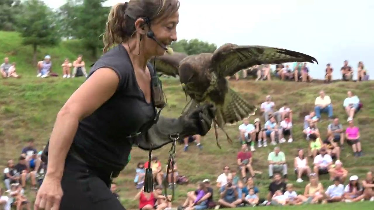 Aves Rapaces  Espectaculo con Juanky Mele y Aurora Urraca en el Parque de la Naturaleza de Cabarceno