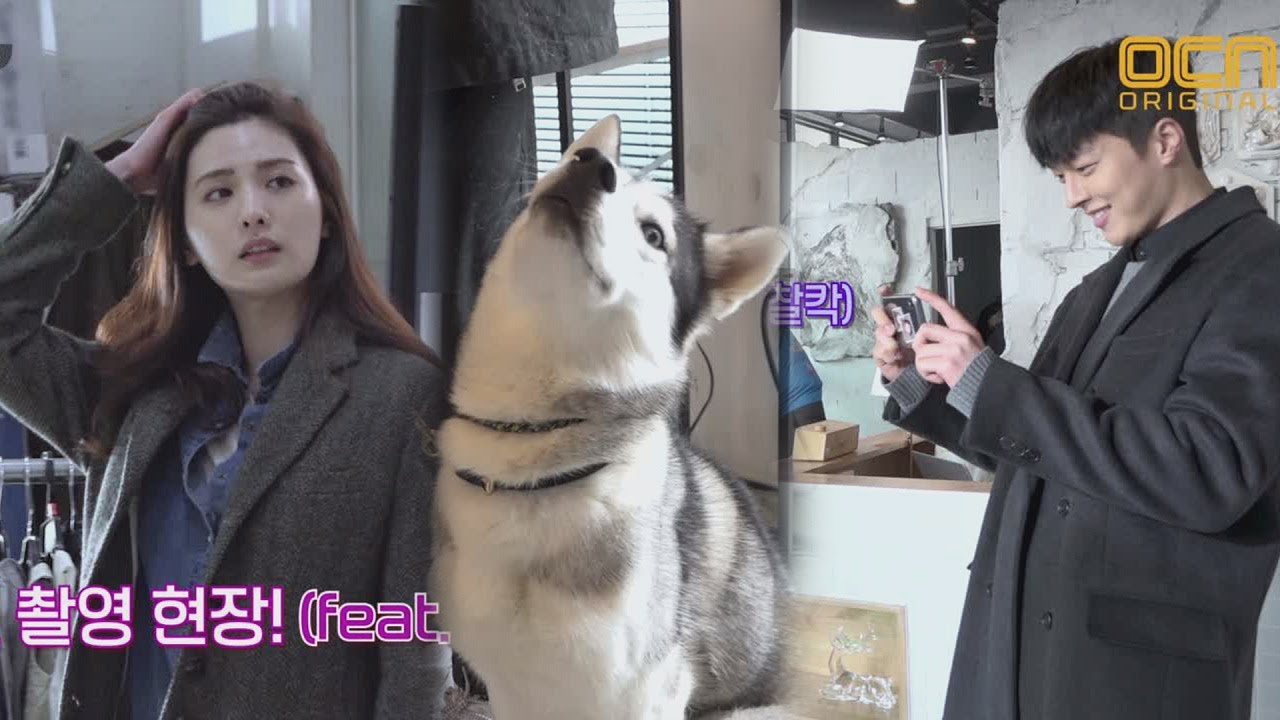 Kill it [메이킹] 장기용X나나의 첫 촬영 비하인드! #댕댕이는_덤 190316 EP.0