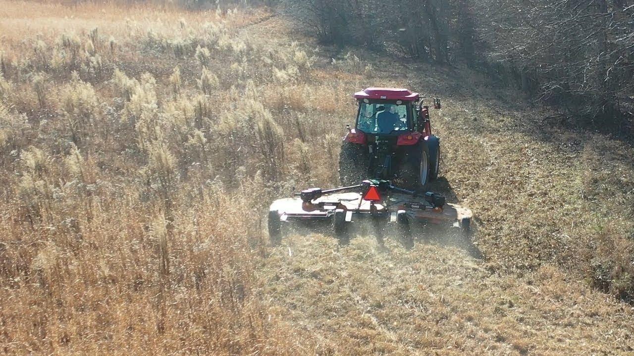 Abandoned Brushy Field gets first mow in years with Woods Batwing!