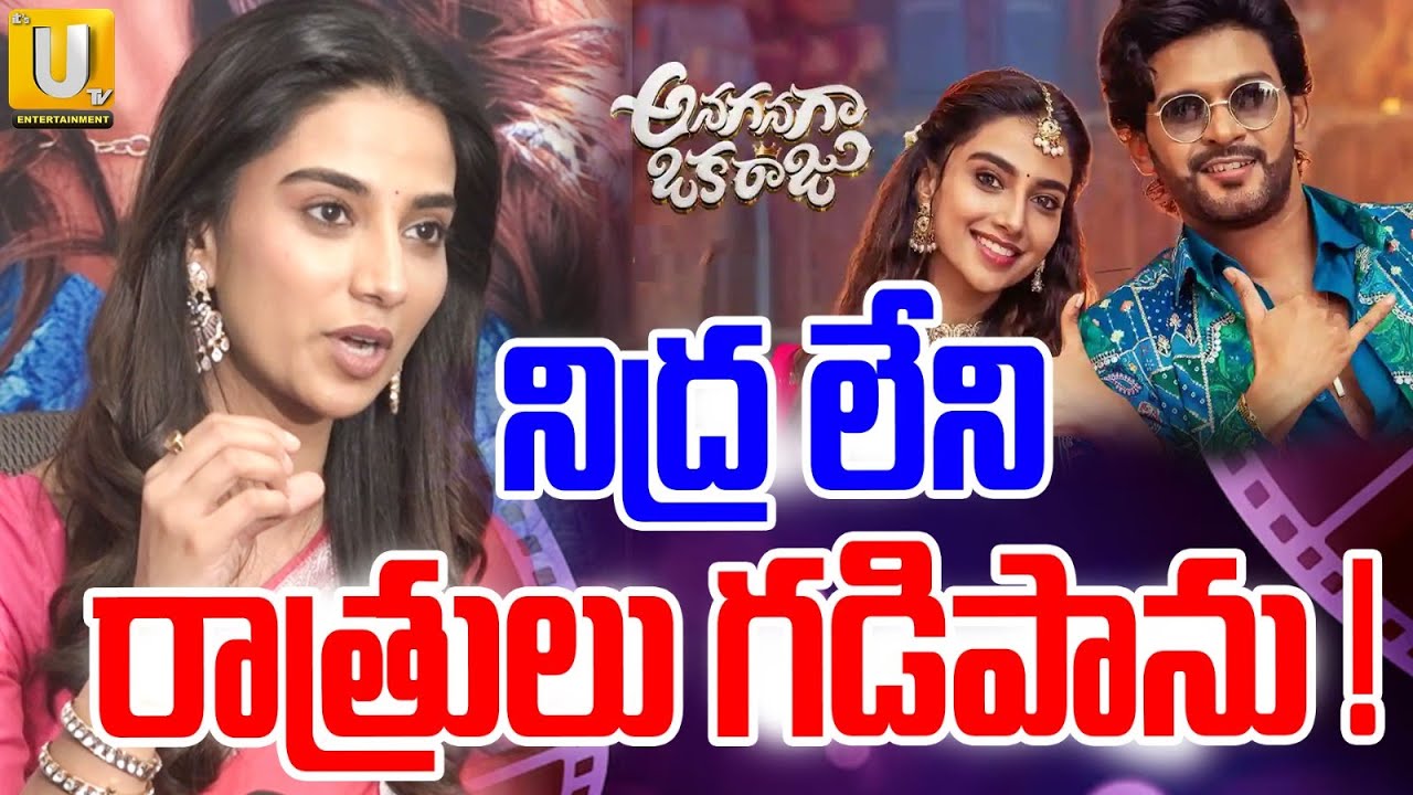 Heroine Meenakshi Chaudhary About Movie Success | Anaganaga Oka Raju నిద్ర లేని రాత్రులు గడిపాను !
