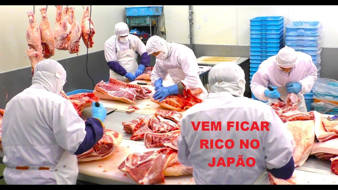 TRABALHO NO FRIGORIFICO DO JAPÃO 2025
