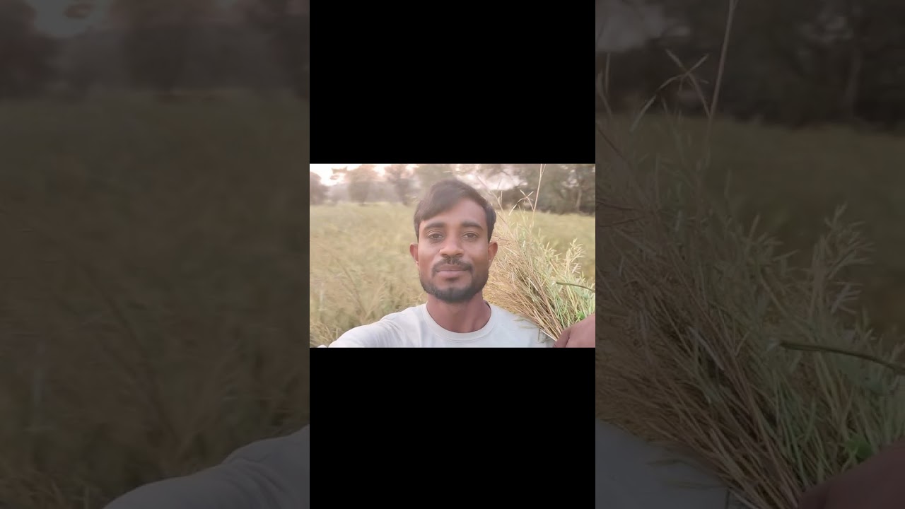 Khet vilog intertenment village life 
